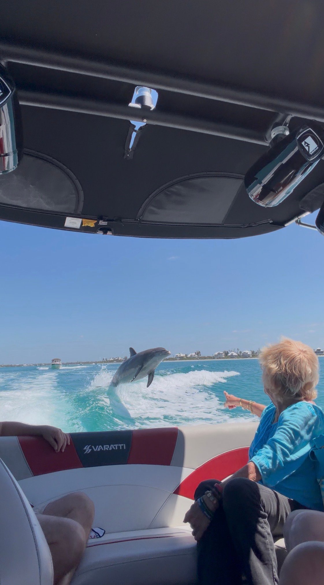 Dolphin jumping in the wake near Englewood FL