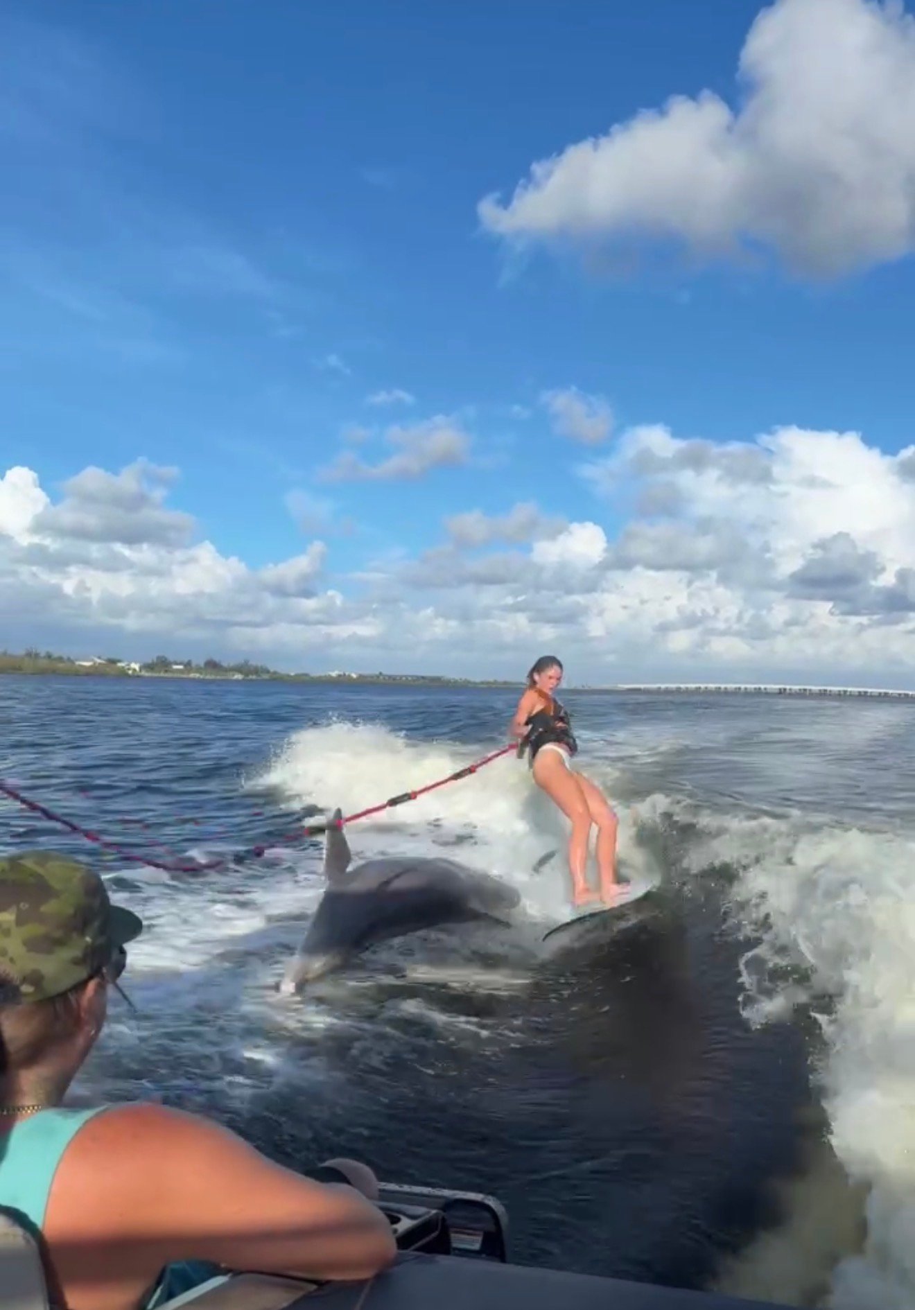 Dolphin surfing the wake alongside a wakeboarder